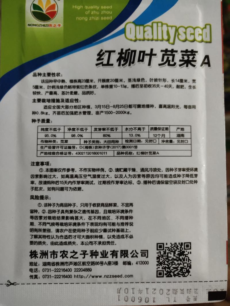 红柳叶苋菜种子，茎浅绿色，