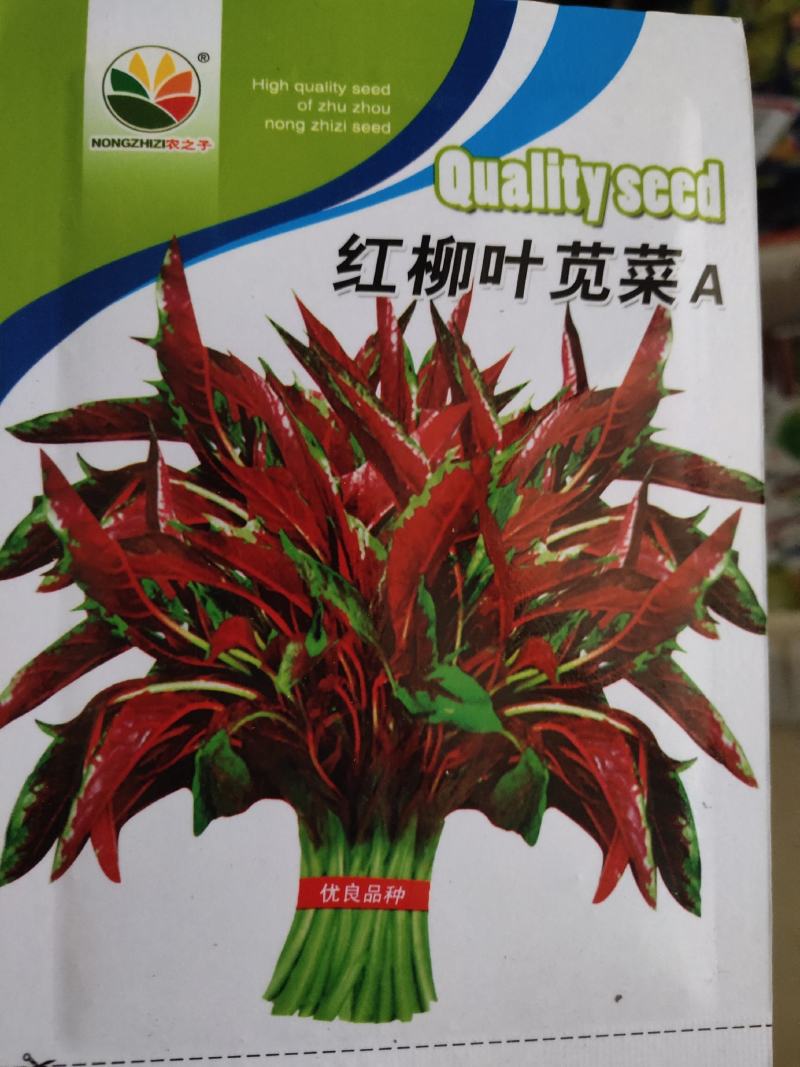 红柳叶苋菜种子，茎浅绿色，