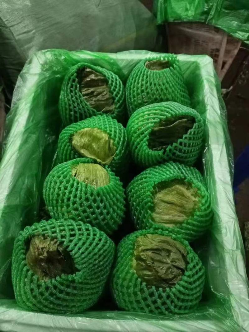 热卖球生菜！产地直供！大棚种植！货源充足！欢迎订购！