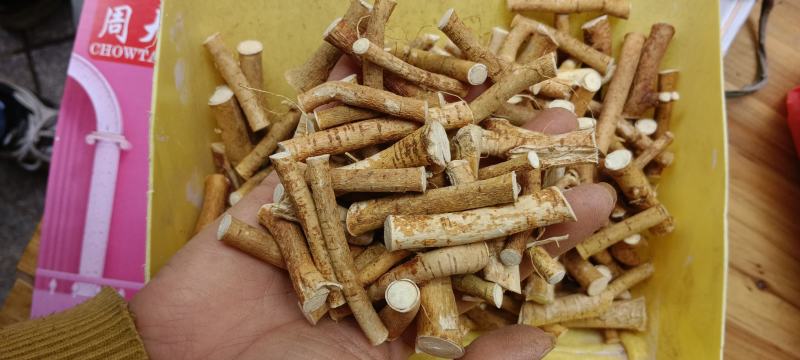 五指毛桃，野生五指牛奶，