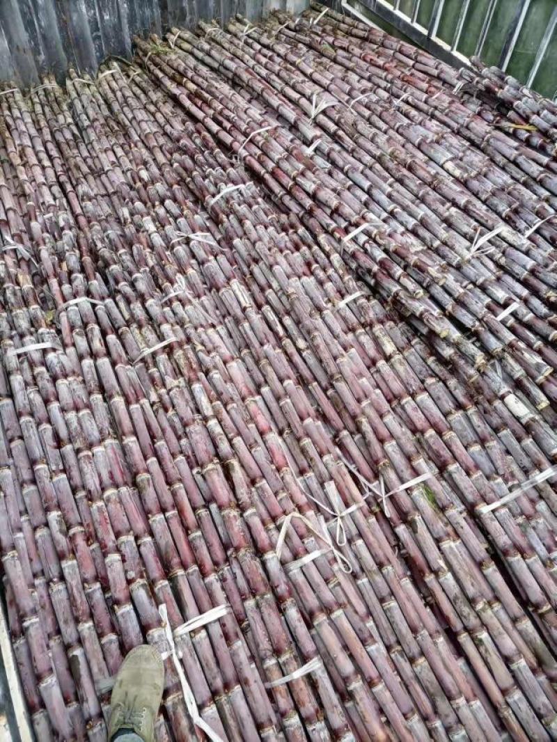 电商货，质量好，批发价格，量大优先