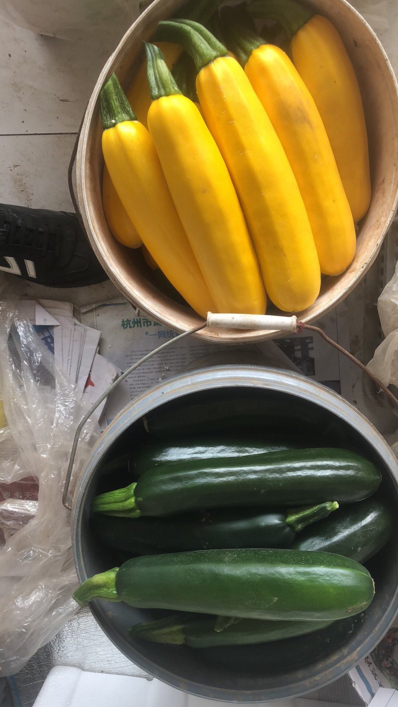 香蕉西葫芦