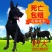 黑狼犬幼犬纯种巨大黑色狼狗正宗便宜看家护院镇宅辟邪