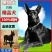 黑狼犬幼犬纯种巨大黑色狼狗正宗便宜看家护院镇宅辟邪