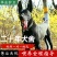 黑狼犬幼犬纯种巨大黑色狼狗正宗便宜看家护院镇宅辟邪