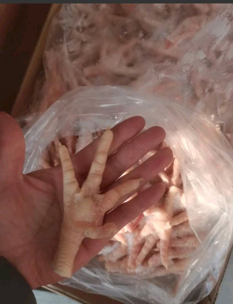 郑州莱聚商贸有限公司鸡副产品，鸡爪，断爪。花爪，凤爪，