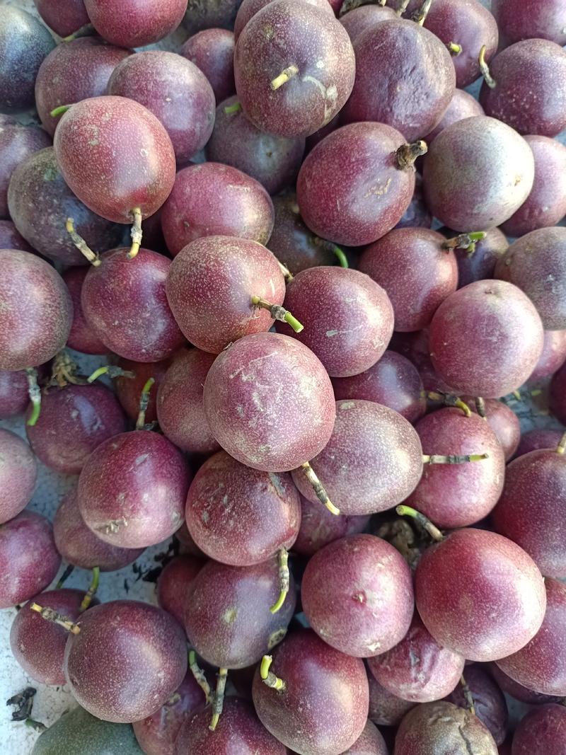 紫百香果，产地一手货源，质量保证欢迎采购