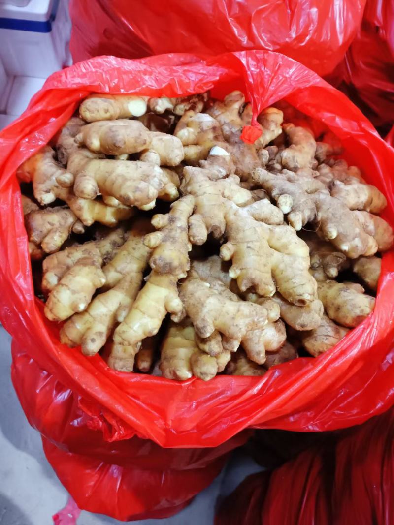山东小黄姜产地直销一手货源全国发货