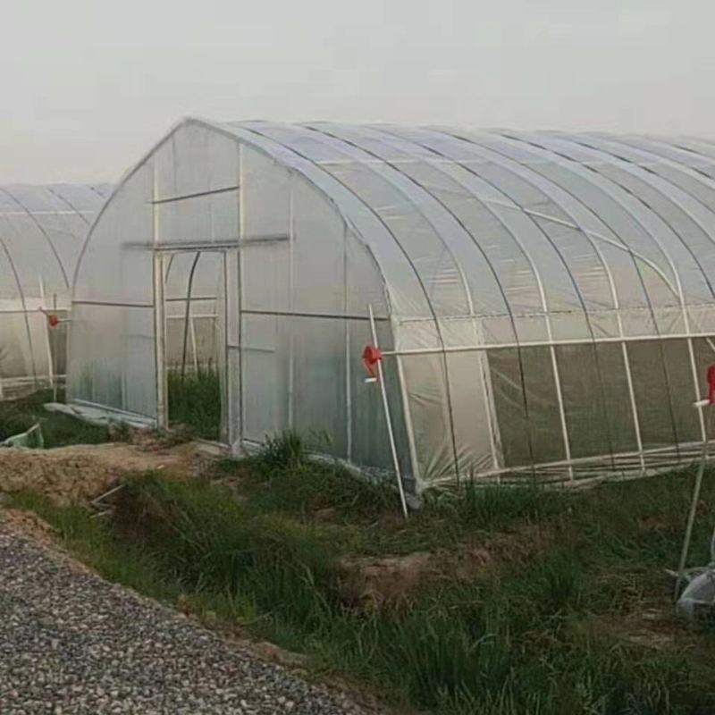 蔬菜种植大棚单体种植大棚