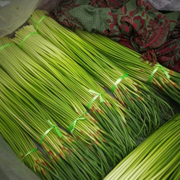 【精品】蒜苔大量上市，新鲜采摘，货源充足，价格优惠