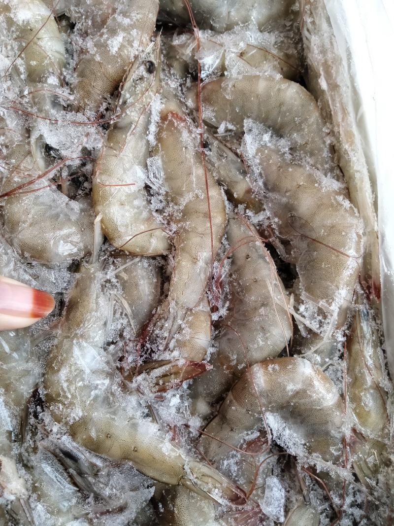 厄瓜多尔虾1.4Kg10盒南美白对虾王牌卡玛欧玛莎