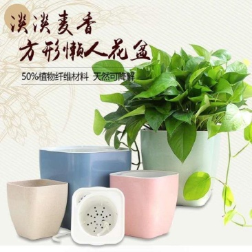 厂家批发多色绿萝自吸水带棉线菱形系列懒人盆加厚款树脂新款