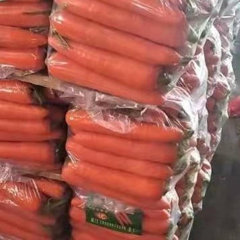 内蒙多伦水洗胡萝卜三红胡萝卜大量上市代发全国