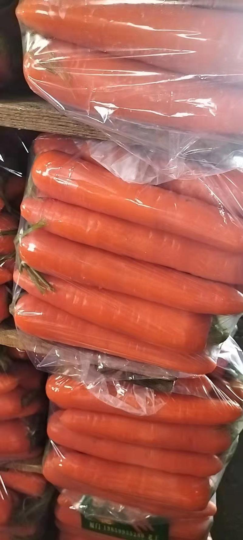 内蒙多伦水洗胡萝卜三红胡萝卜大量上市代发全国