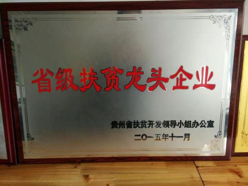 重楼苗，优质品种，四年大苗，包成活率90%以上
