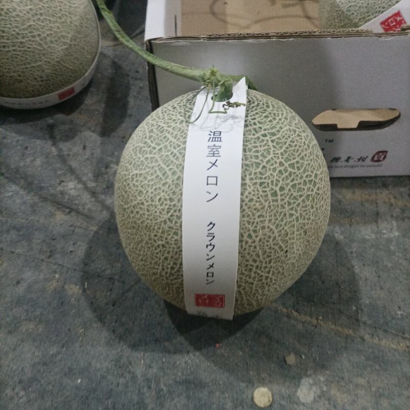 海南哈密瓜玫珑蜜瓜新鲜哈密瓜水果批发玫珑网纹瓜