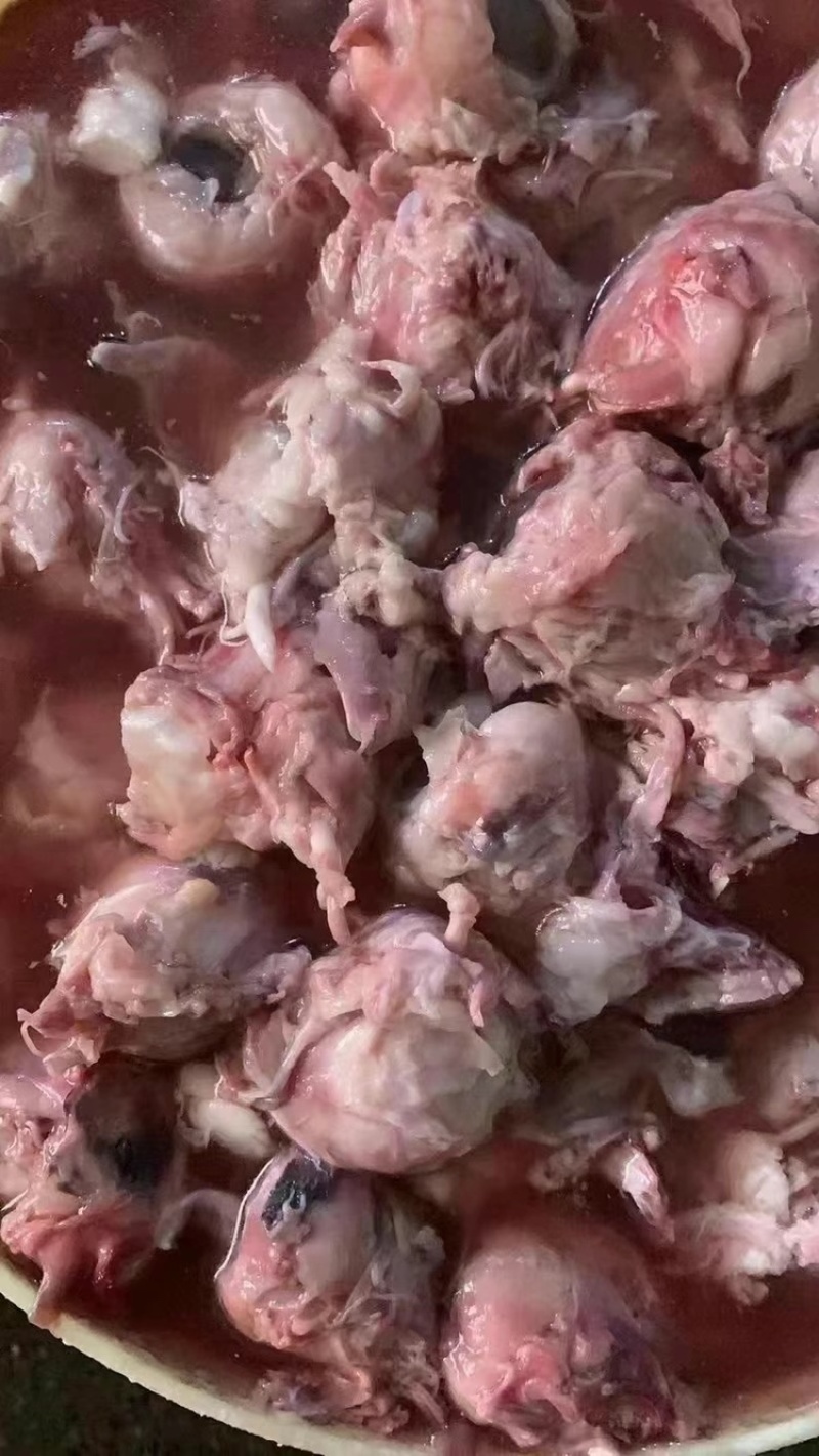羊眼，干净无杂质，常年加工生产，需要联系