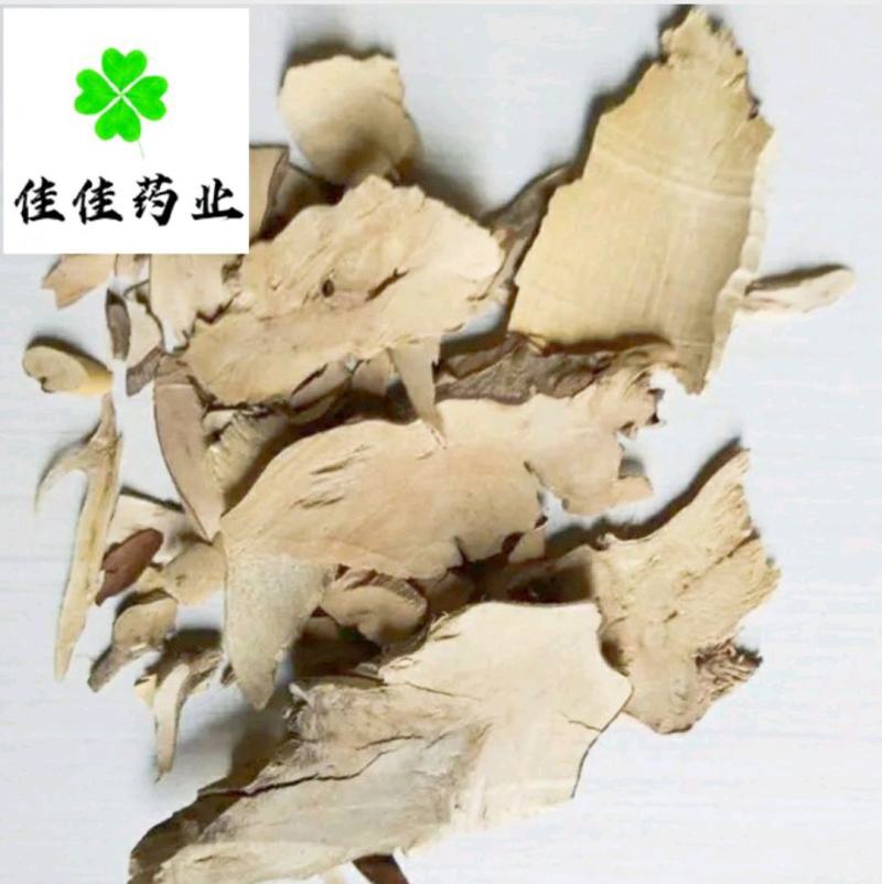 茶树根实物图新货货干大统货供应各种中药材