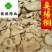臭梧桐臭梧桐根好统货无碎末实物图供应各种中药材