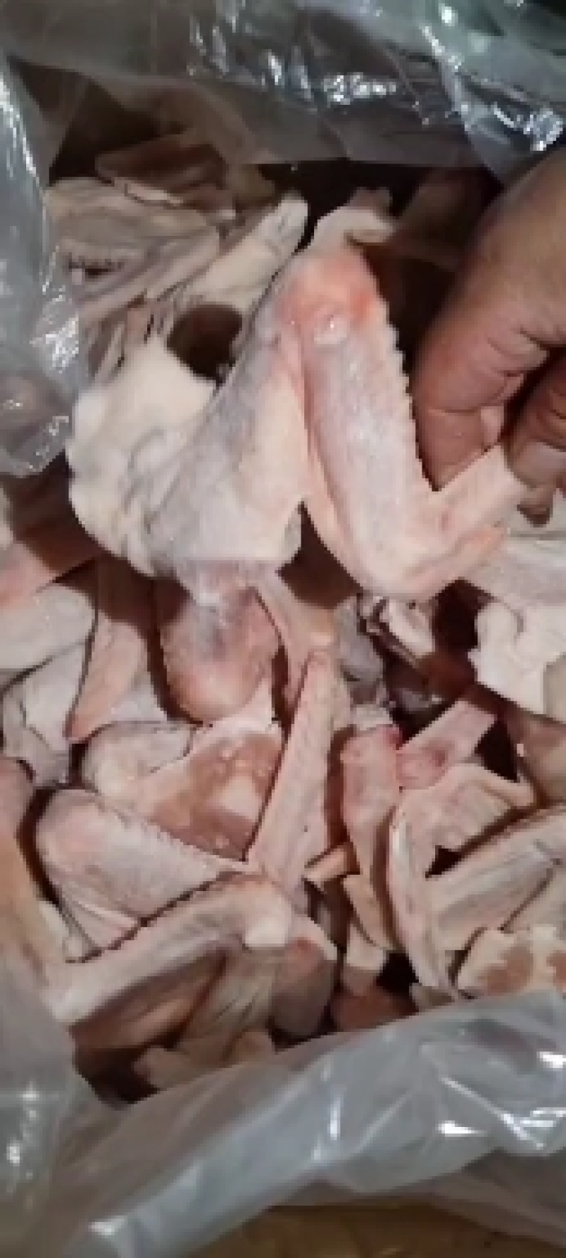 郑州莱聚商贸有限公司冻品二节鸭翅搞活动赶快订购，下单随时