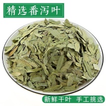 中药材番泻叶散装粉正品茶番叶番泄叶潘泄叶翻泄叶潘泻叶