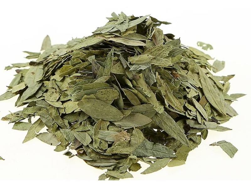 中药材番泻叶散装粉正品茶番叶番泄叶潘泄叶翻泄叶潘泻叶