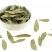 中药材番泻叶散装粉正品茶番叶番泄叶潘泄叶翻泄叶潘泻叶