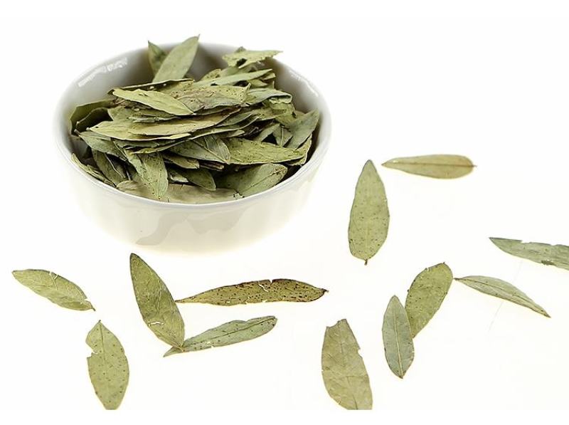 中药材番泻叶散装粉正品茶番叶番泄叶潘泄叶翻泄叶潘泻叶