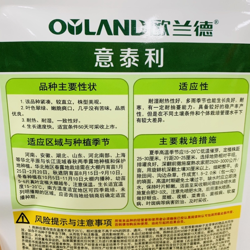 美味生菜种子欧兰德意泰利半结球生菜种子叶色翠绿耐热耐湿