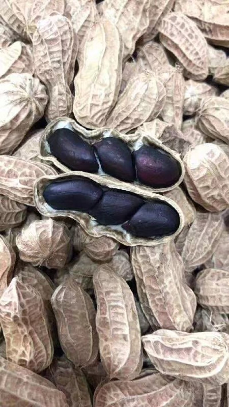 黑花生