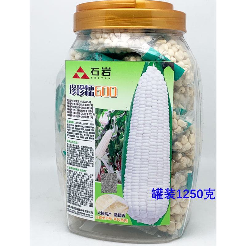 晓富种业珍甜糯66白甜糯玉米种子大棒甜加糯粘白玉米种子