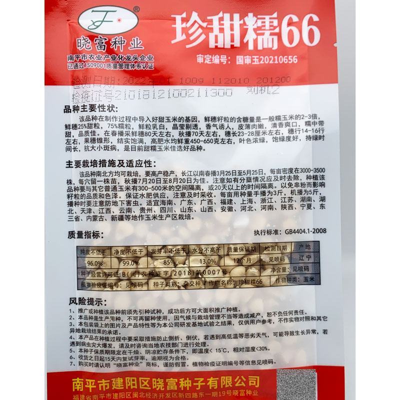 晓富种业珍甜糯66白甜糯玉米种子大棒甜加糯粘白玉米种子