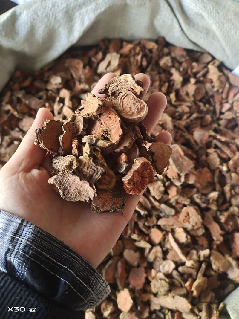 红景天去皮半去皮个子各种规格大货齐全