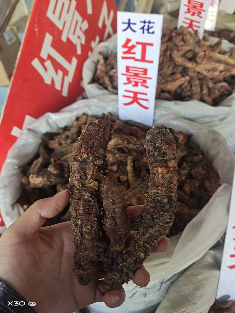 红景天去皮半去皮个子各种规格大货齐全