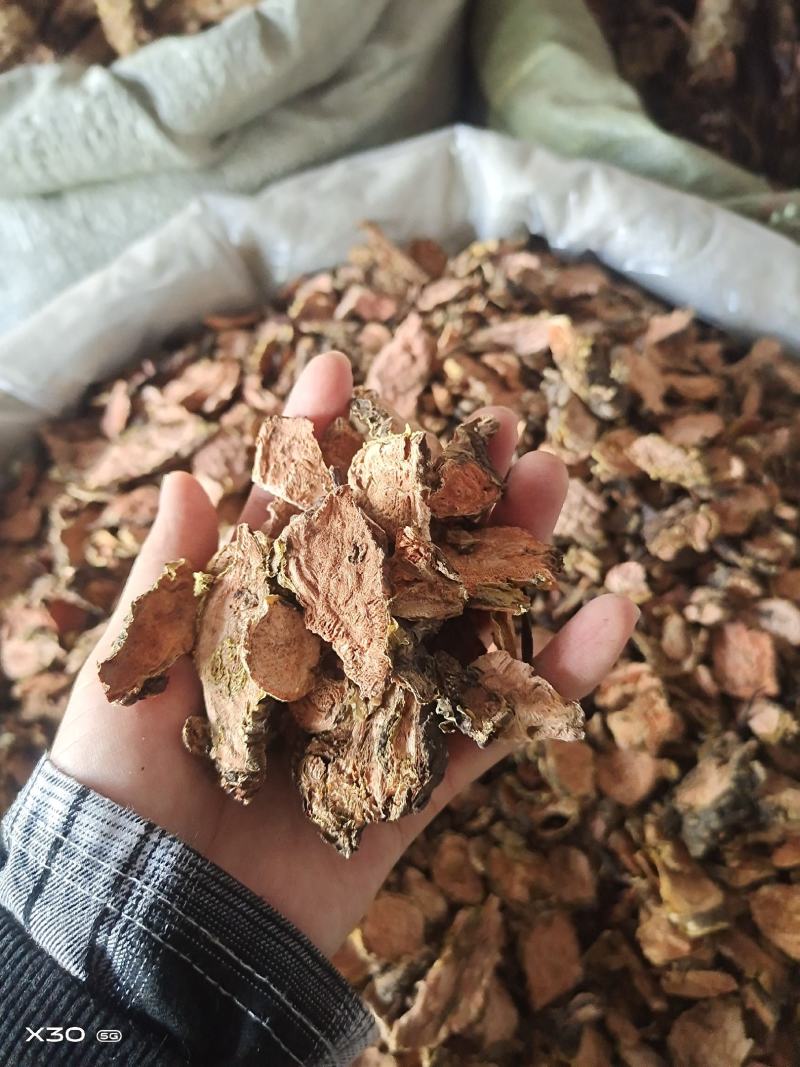 红景天去皮半去皮个子各种规格大货齐全