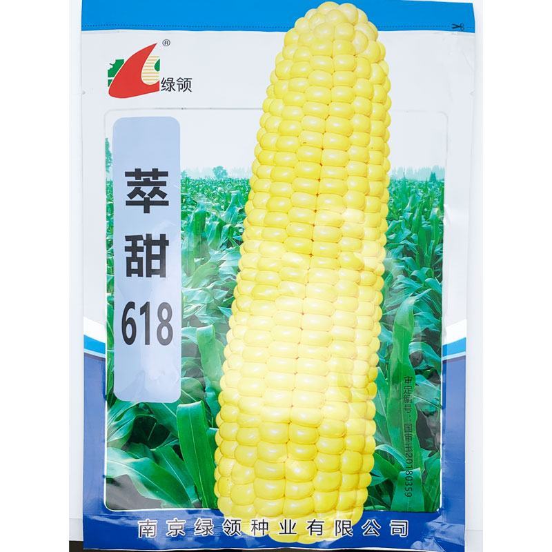 萃甜618超甜黄水果玉米种子大棒黄甜玉米种国审原装发货