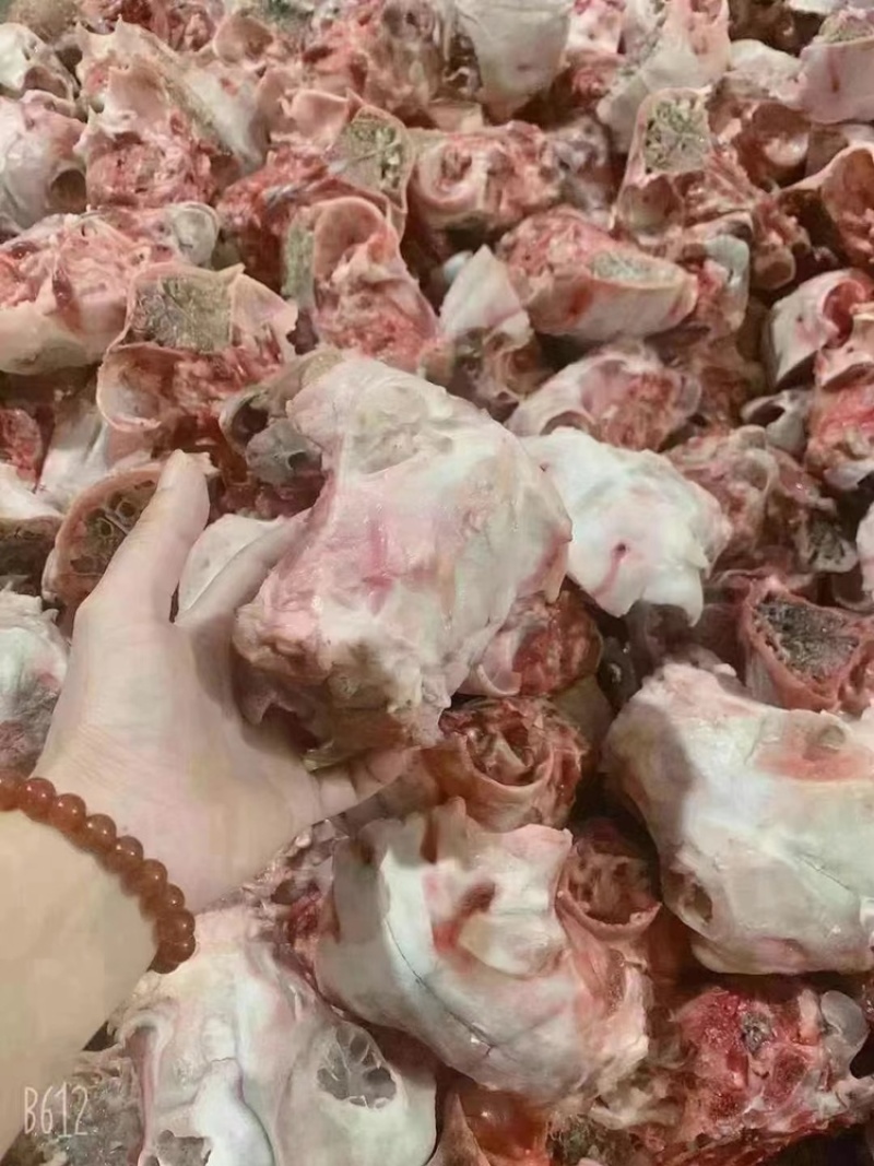 羊脑壳，5元一个，袋装，每袋100个，颜色鲜，质量好