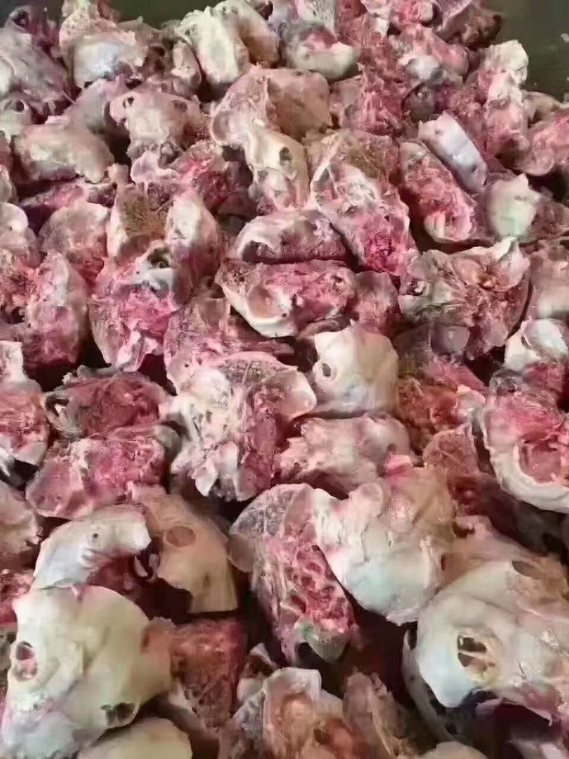 羊脑壳，5元一个，袋装，每袋100个，颜色鲜，质量好