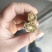 云木香有计划的来20吨