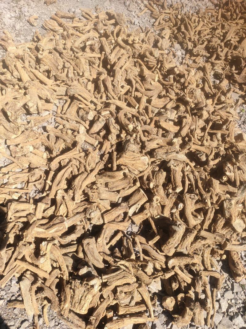 云木香有计划的来20吨