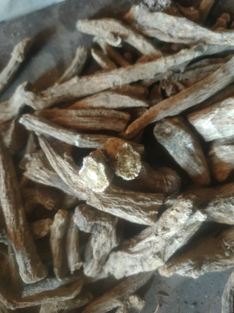云木香有计划的来20吨