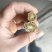 云木香有计划的来20吨