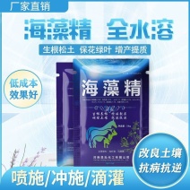 海藻精肥料原粉98%含量叶面肥有机肥水溶肥冲施促根壮苗