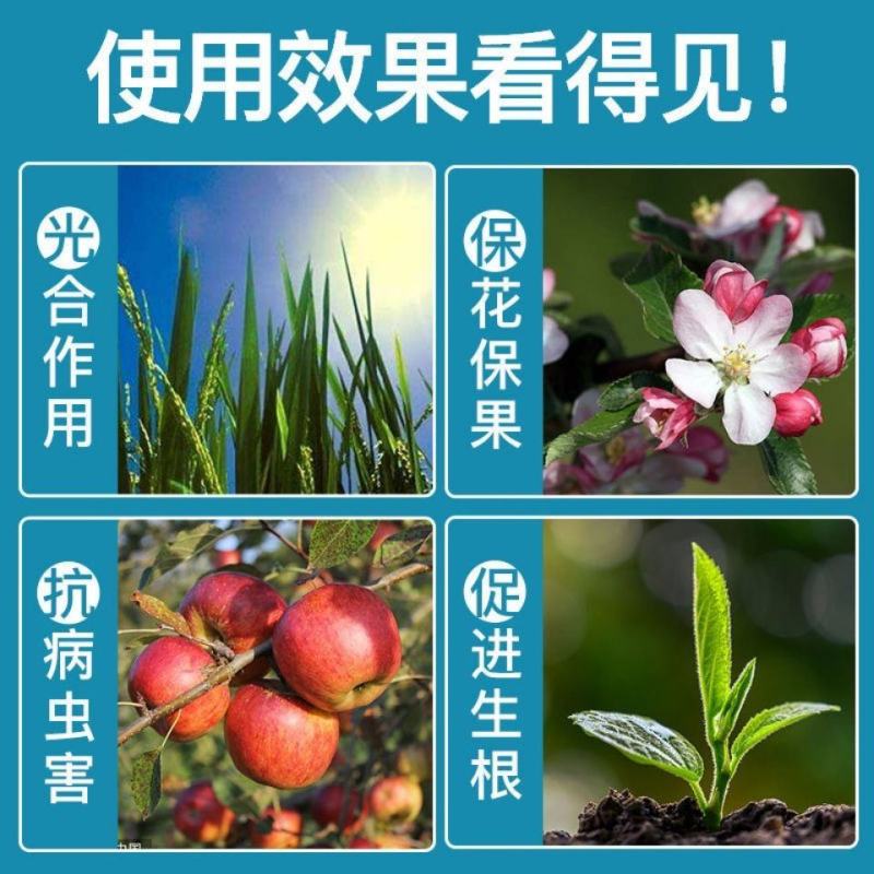 海藻精肥料原粉98%含量叶面肥有机肥水溶肥冲施促根壮苗