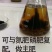 海藻精肥料原粉98%含量叶面肥有机肥水溶肥冲施促根壮苗