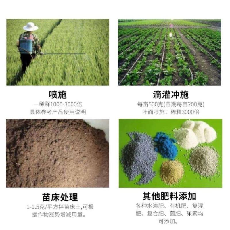 海藻精肥料原粉98%含量叶面肥有机肥水溶肥冲施促根壮苗