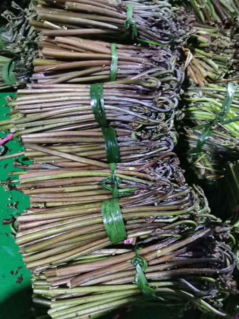 甜撅菜