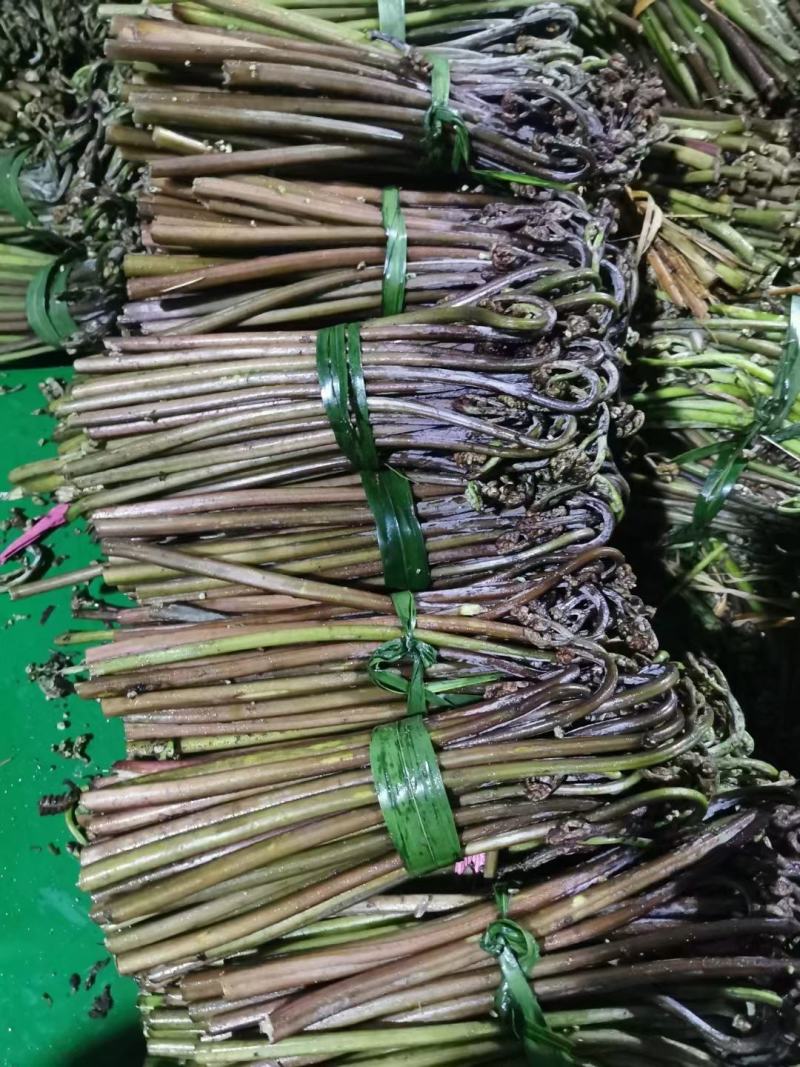 甜撅菜