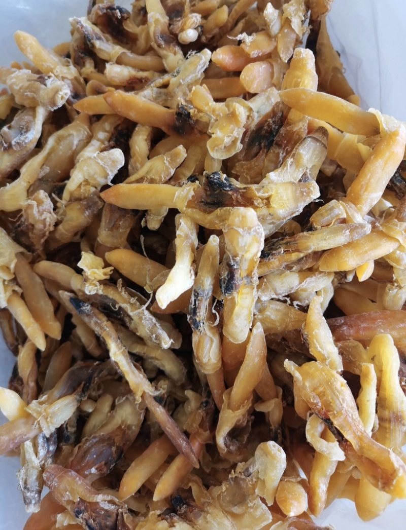 包邮新鲜新晒蛏子干竹节海蛏子肉干海鲜干货蛏子干