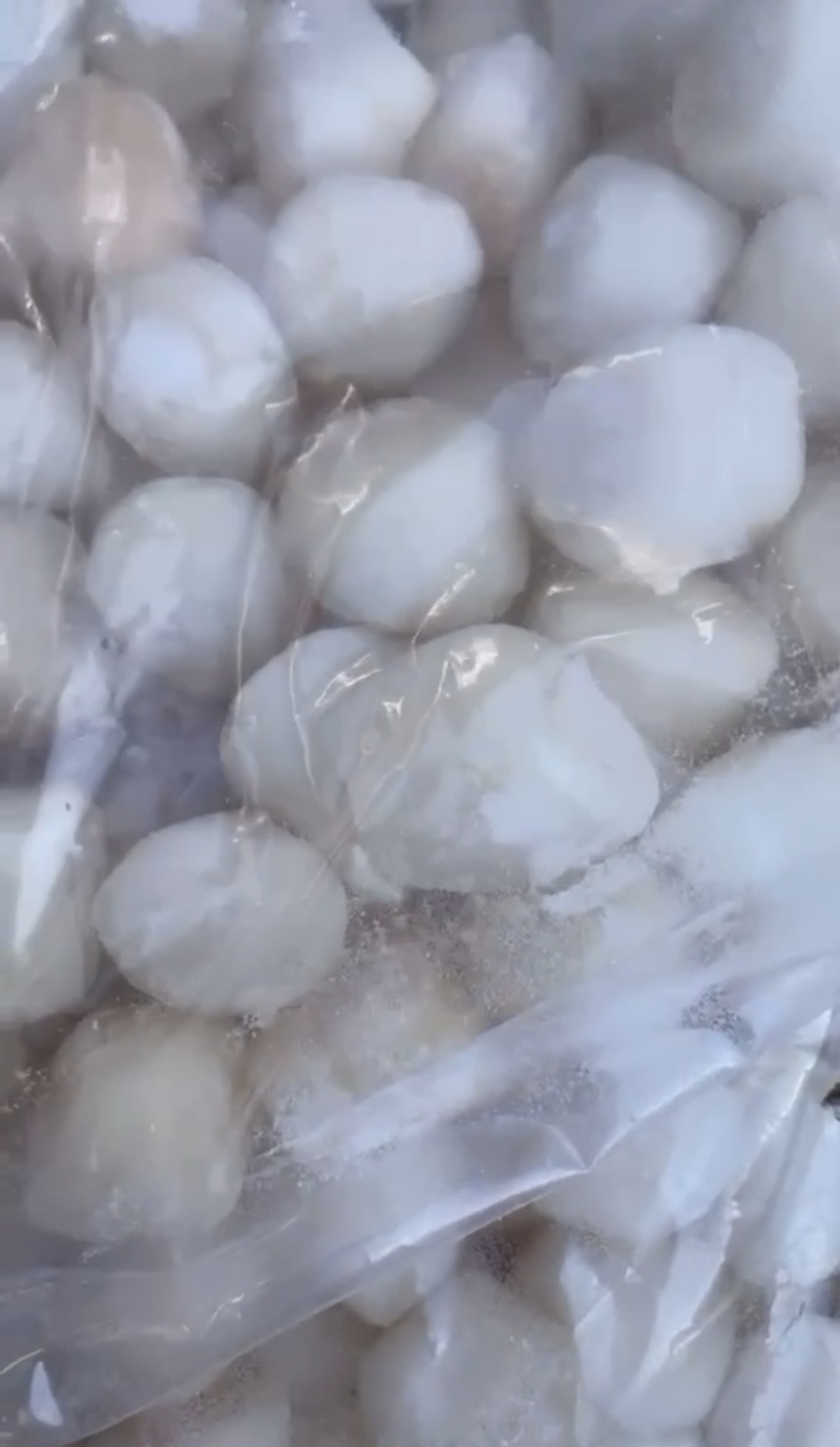 【产地直供】鲜货速冻新鲜扇贝柱扇贝丁江苏海鲜水产